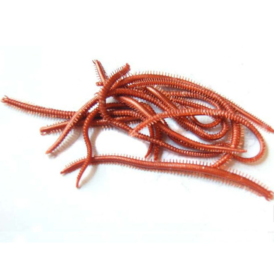 10 Cái/lốc Biển Nhân Tạo Sâu M - đánh giá và giá Soft Plastic Lure