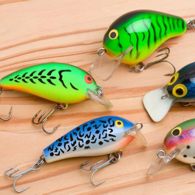 6 mẫu tranh vẽ mồi câu cá để p - đánh giá và giá Fishing Quest